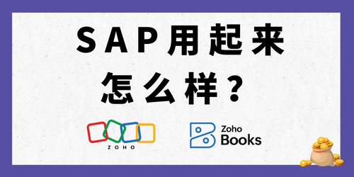 SAP用起来怎么样？有什么替代方案？