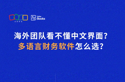 海外团队看不懂中文界面?多语言财务软件怎么选