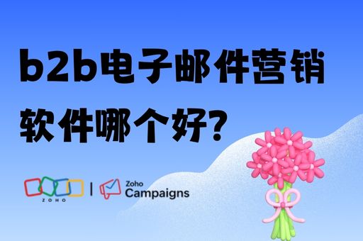 b2b电子邮件营销软件哪个好