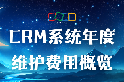 CRM系统年度维护费用概览